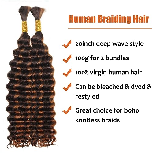 Haftaluv Bulk Human Braiding Hair Deep Wave Virgin Human Hair Curly Braiding Hair For Bohemian Knotless Boho Braids Burgundy No Weft 100 Percent Human Hair Bundles For Braiding(20inch, 100g, BUG)