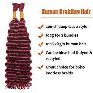 Haftaluv Bulk Human Braiding Hair Deep Wave Virgin Human Hair Curly Braiding Hair For Bohemian Knotless Boho Braids Burgundy No Weft 100 Percent Human Hair Bundles For Braiding(20inch, 100g, BUG)