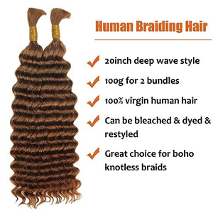 Haftaluv Bulk Human Braiding Hair Deep Wave Virgin Human Hair Curly Braiding Hair For Bohemian Knotless Boho Braids Burgundy No Weft 100 Percent Human Hair Bundles For Braiding(20inch, 100g, BUG)