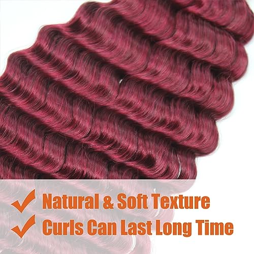 Haftaluv Bulk Human Braiding Hair Deep Wave Virgin Human Hair Curly Braiding Hair For Bohemian Knotless Boho Braids Burgundy No Weft 100 Percent Human Hair Bundles For Braiding(20inch, 100g, BUG)