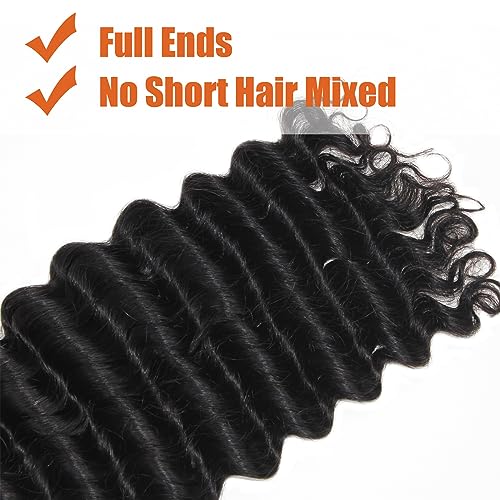 Haftaluv Bulk Human Braiding Hair Deep Wave Virgin Human Hair Curly Braiding Hair For Bohemian Knotless Boho Braids Burgundy No Weft 100 Percent Human Hair Bundles For Braiding(20inch, 100g, BUG)