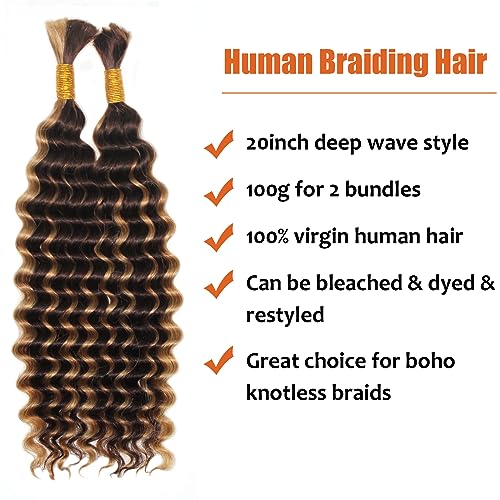 Haftaluv Bulk Human Braiding Hair Deep Wave Virgin Human Hair Curly Braiding Hair For Bohemian Knotless Boho Braids Burgundy No Weft 100 Percent Human Hair Bundles For Braiding(20inch, 100g, BUG)