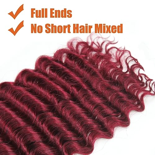 Haftaluv Bulk Human Braiding Hair Deep Wave Virgin Human Hair Curly Braiding Hair For Bohemian Knotless Boho Braids Burgundy No Weft 100 Percent Human Hair Bundles For Braiding(20inch, 100g, BUG)