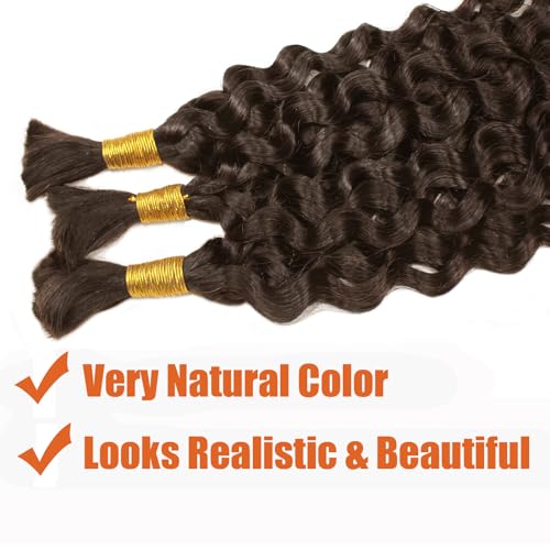 Haftaluv Bulk Human Braiding Hair Deep Wave Virgin Human Hair Curly Braiding Hair For Bohemian Knotless Boho Braids Burgundy No Weft 100 Percent Human Hair Bundles For Braiding(20inch, 100g, BUG)