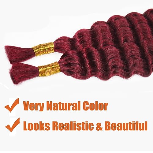 Haftaluv Bulk Human Braiding Hair Deep Wave Virgin Human Hair Curly Braiding Hair For Bohemian Knotless Boho Braids Burgundy No Weft 100 Percent Human Hair Bundles For Braiding(20inch, 100g, BUG)