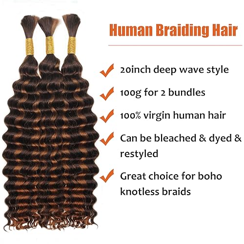 Haftaluv Bulk Human Braiding Hair Deep Wave Virgin Human Hair Curly Braiding Hair For Bohemian Knotless Boho Braids Burgundy No Weft 100 Percent Human Hair Bundles For Braiding(20inch, 100g, BUG)