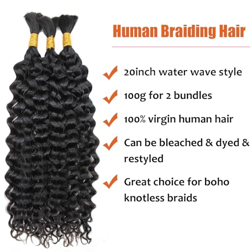 Haftaluv Bulk Human Braiding Hair Deep Wave Virgin Human Hair Curly Braiding Hair For Bohemian Knotless Boho Braids Burgundy No Weft 100 Percent Human Hair Bundles For Braiding(20inch, 100g, BUG)