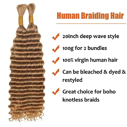 Haftaluv Bulk Human Braiding Hair Deep Wave Virgin Human Hair Curly Braiding Hair For Bohemian Knotless Boho Braids Burgundy No Weft 100 Percent Human Hair Bundles For Braiding(20inch, 100g, BUG)