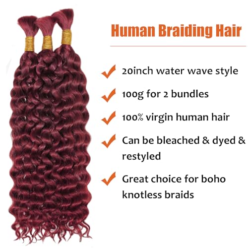 Haftaluv Bulk Human Braiding Hair Deep Wave Virgin Human Hair Curly Braiding Hair For Bohemian Knotless Boho Braids Burgundy No Weft 100 Percent Human Hair Bundles For Braiding(20inch, 100g, BUG)