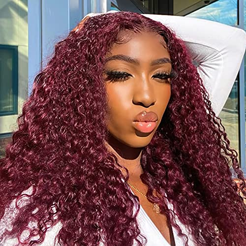 Pizazz 13x4 HD Transparent Lace Front Wigs Human Hair Pre plucked Bleached Knots with Baby Hair 180 Density Brazilian Deep Wave Frontal Wigs for Black Women(26 Inch, Black color)